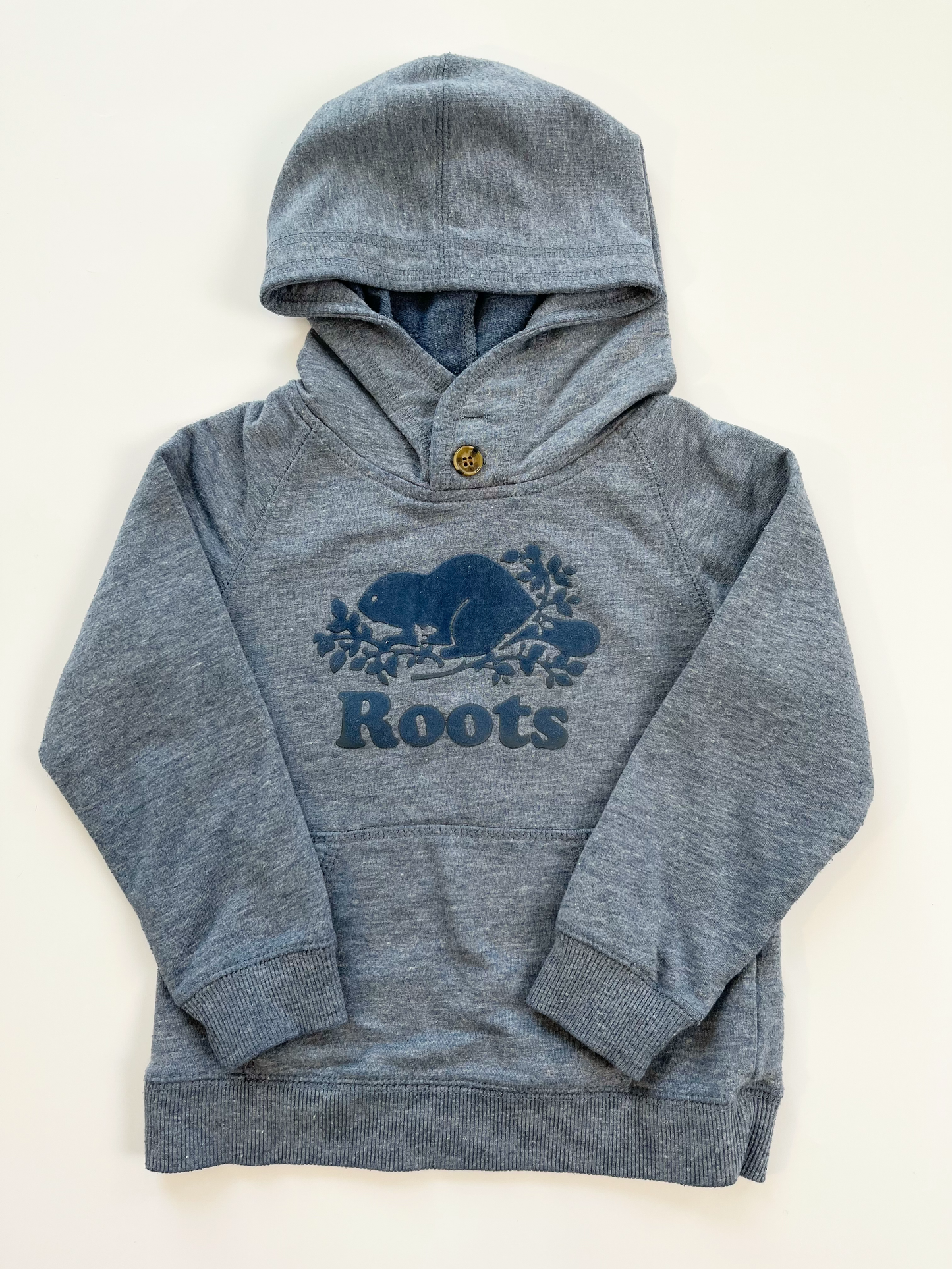 Roots Hoodie (thinner style) 3T