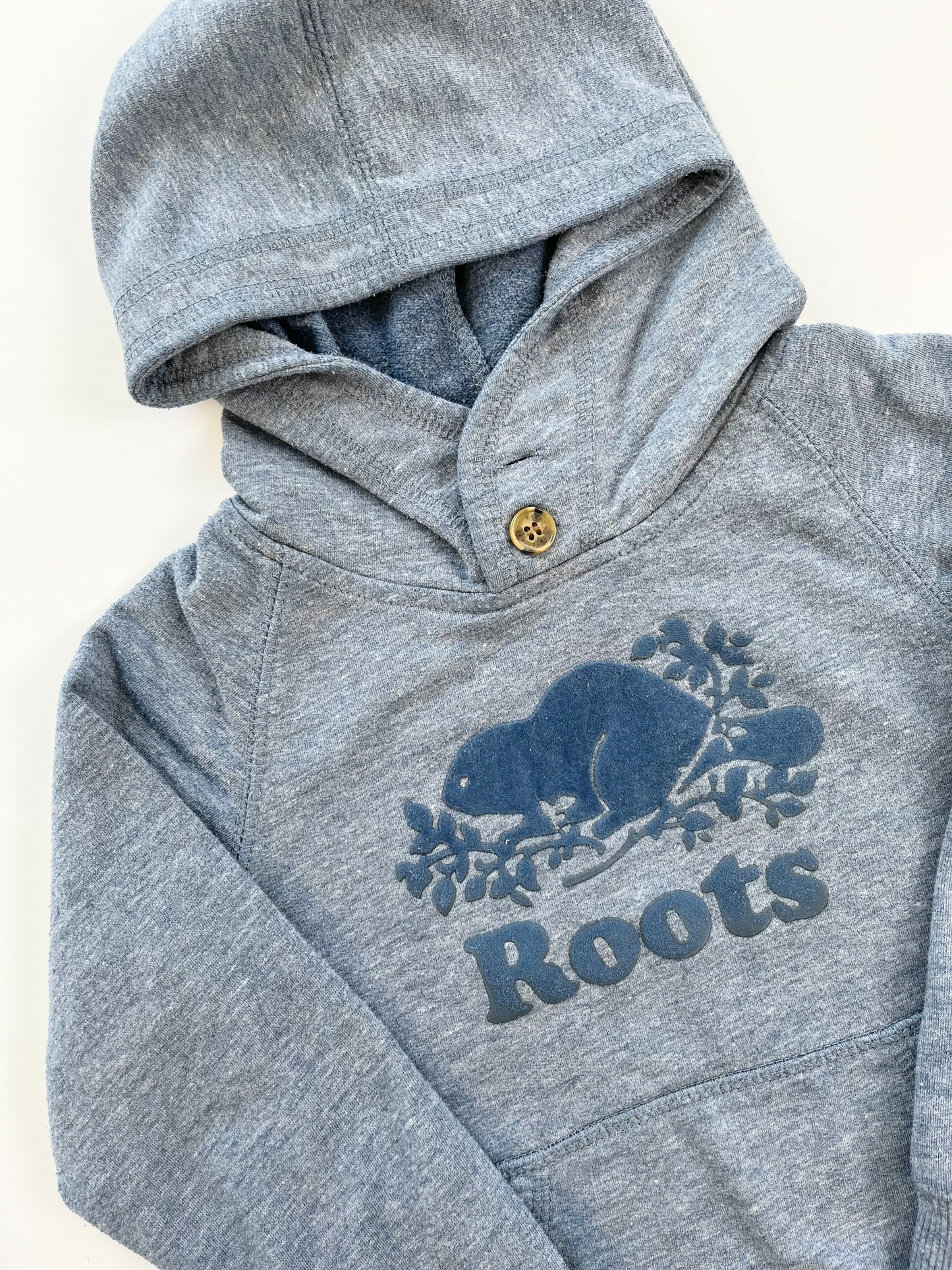 Roots Hoodie (thinner style) 3T