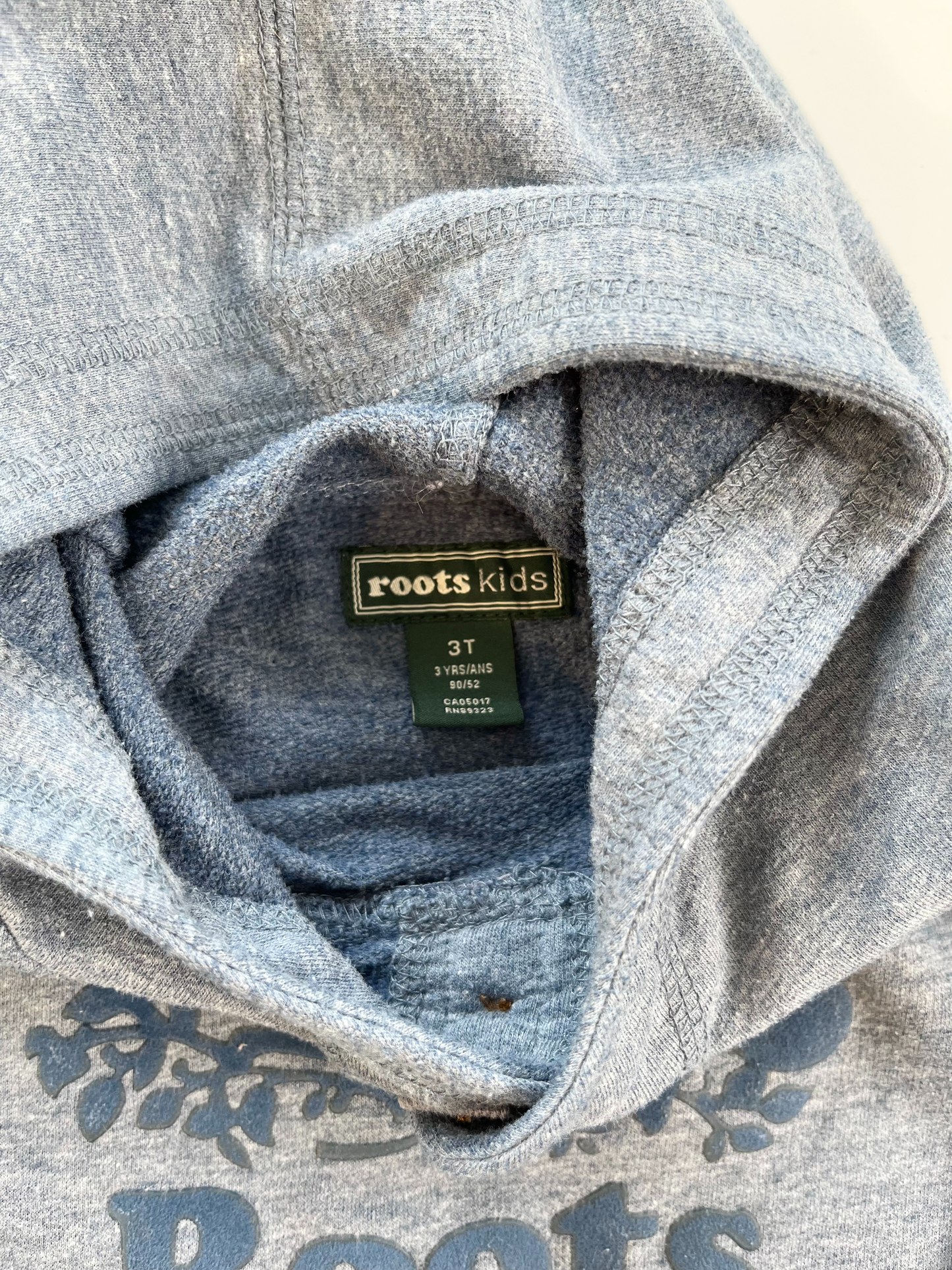 Roots Hoodie (thinner style) 3T