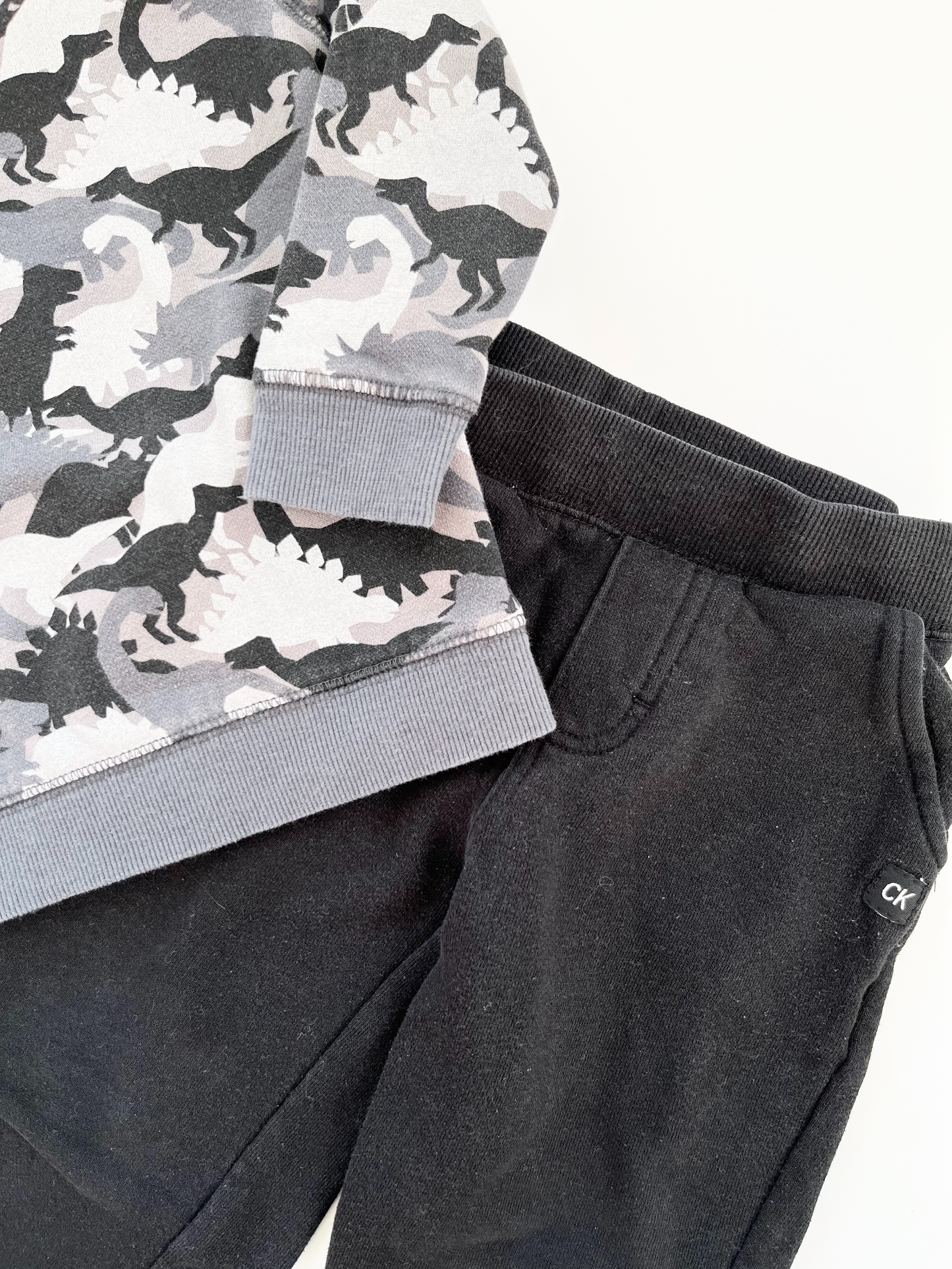 George Dino Crewneck & Calvin Klein Sweat Pants 3T