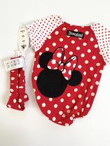 Disneyland Resort Set 6m