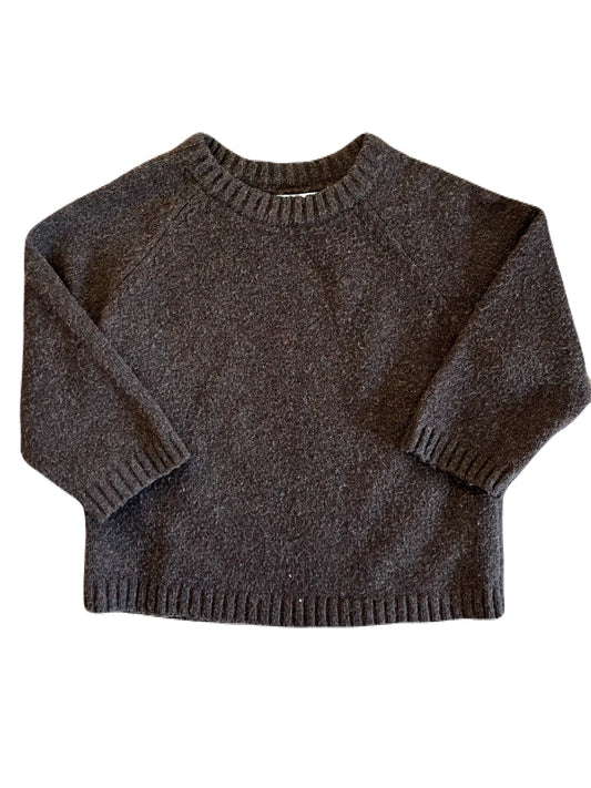 ZARA Brown Crewneck 12-18m