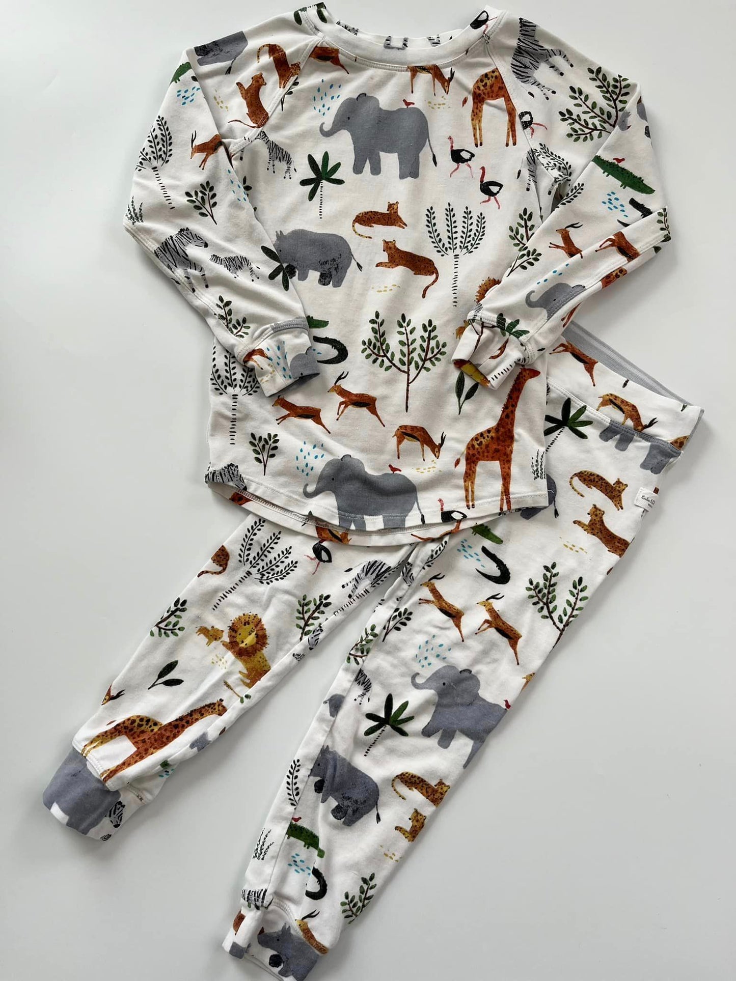 Loulou Lollipop PJ Set 2T