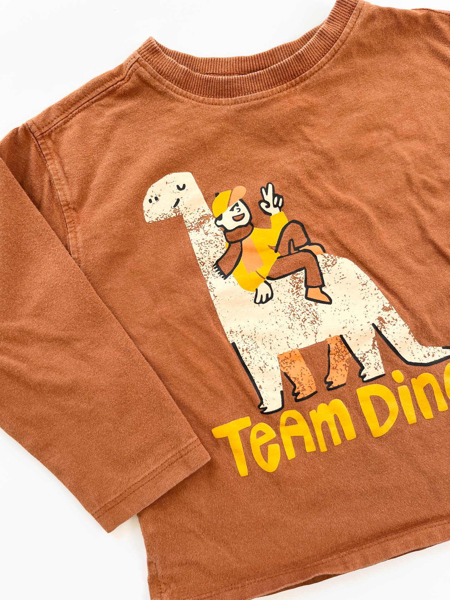 ZARA Long Sleeve Dino Shirt 18-24m