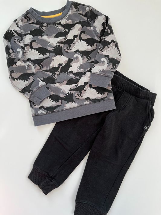 George Dino Crewneck & Calvin Klein Sweat Pants 3T