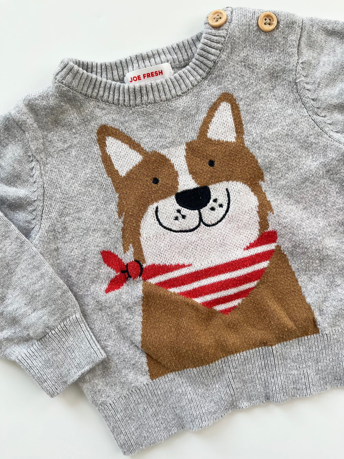 Joe Fresh Dog Sweater 3-6m