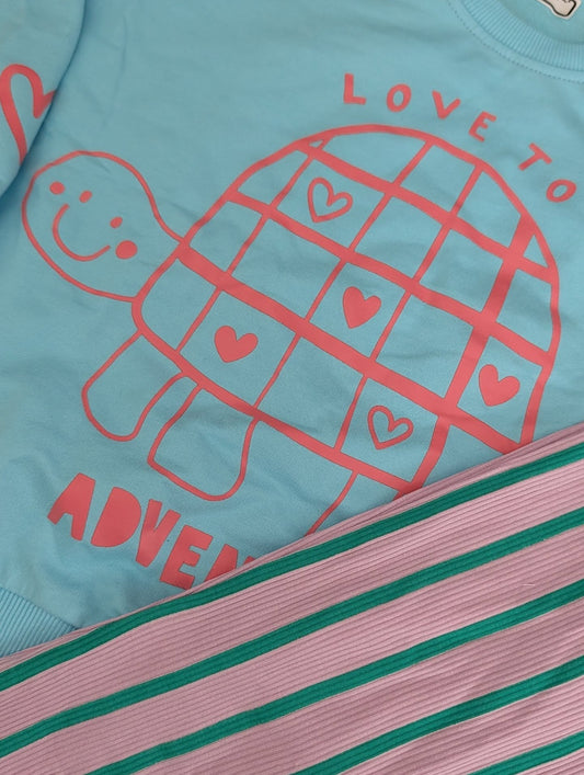 Little Maven Turtle Set 4 Years