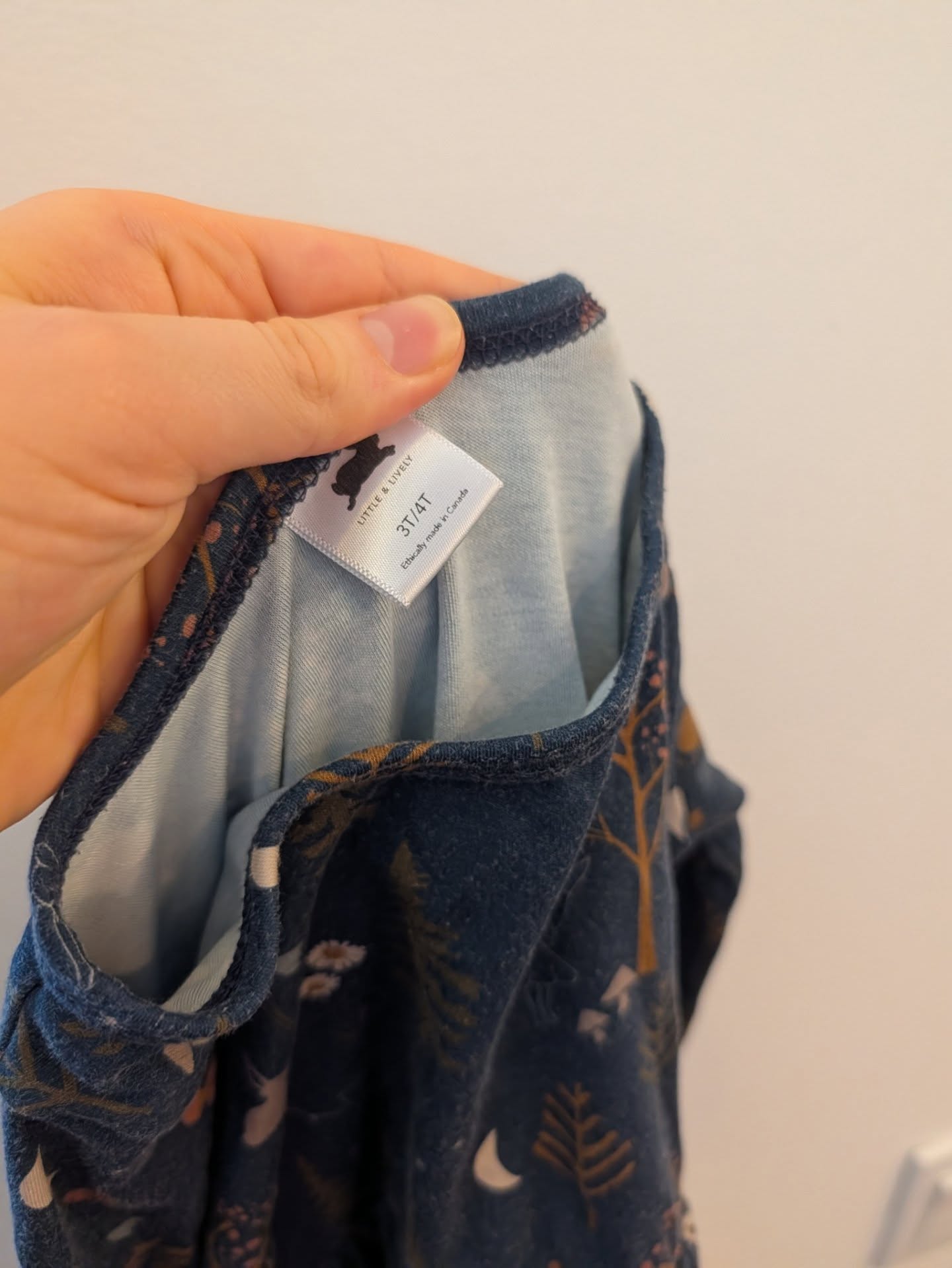 Little & Lively Bamboo Dress | 3/4T